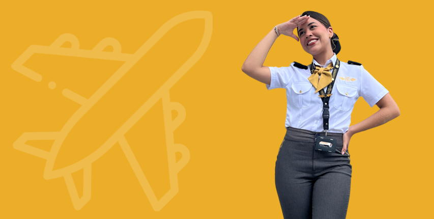 Agente de servicios en líneas aéreas y terrestres ALAT