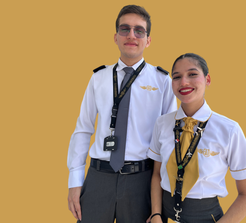 Agente de viajes y turismo AGT